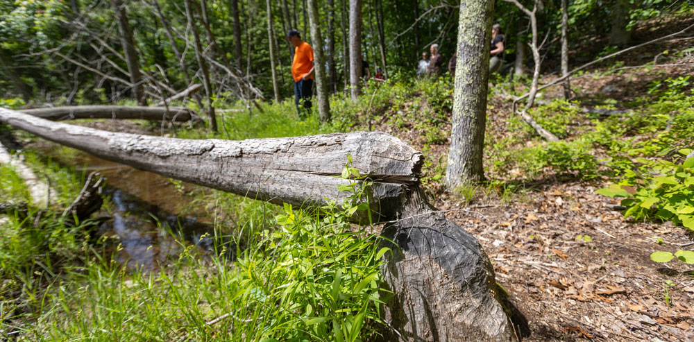 Photos from Connecticut Water hikes on Trails Day