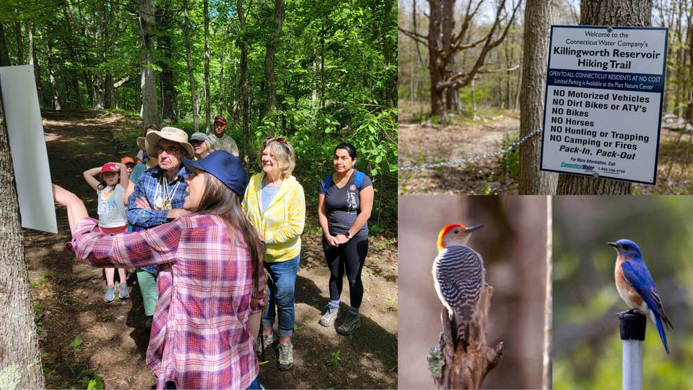 Photos of the Killingworth reservoir trail